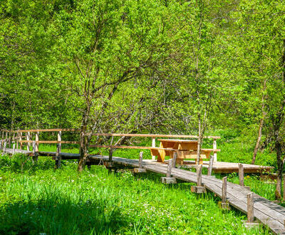 Murgtalpfad kurz vor Einm�ndung Talstra�e in Herrischried