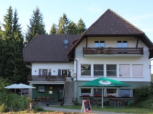Der Waldvogel Hogschür